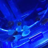 すみだ水族館に投稿された画像（2021/8/29）