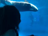 名古屋港水族館に投稿された画像（2021/8/29）