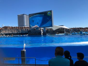名古屋港水族館に投稿された画像（2021/8/29）