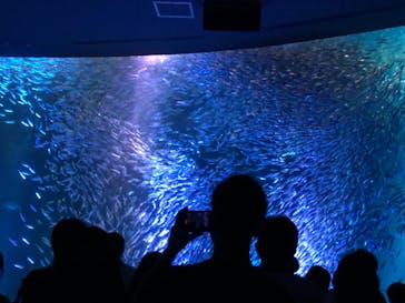 名古屋港水族館に投稿された画像（2021/8/29）