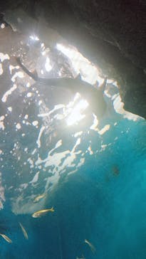 名古屋港水族館に投稿された画像（2021/8/29）