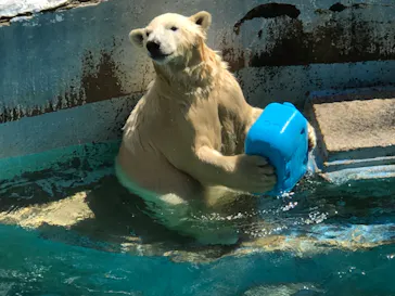 天王寺動物園に投稿された画像（2021/8/29）