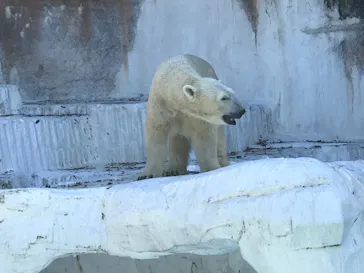 天王寺動物園に投稿された画像（2021/8/29）