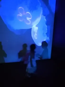 すみだ水族館に投稿された画像（2021/8/29）