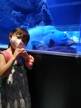 すみだ水族館に投稿された画像（2021/8/29）