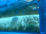サンシャイン水族館に投稿された画像（2021/8/29）