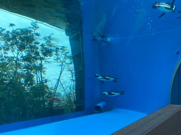 サンシャイン水族館に投稿された画像（2021/8/29）