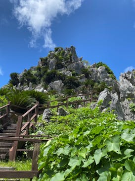 アスムイハイクスに投稿された画像（2021/8/29）