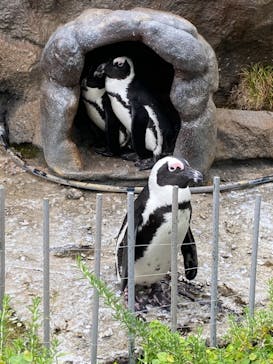 サンシャイン水族館に投稿された画像（2021/8/29）
