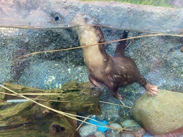 サンシャイン水族館に投稿された画像（2021/8/29）