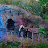 サンシャイン水族館に投稿された画像（2021/8/30）