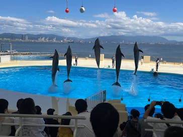 マリンワールド海の中道に投稿された画像（2021/8/29）