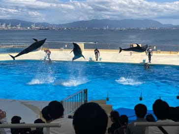 マリンワールド海の中道に投稿された画像（2021/8/29）