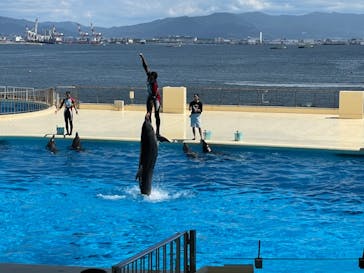 マリンワールド海の中道に投稿された画像（2021/8/29）