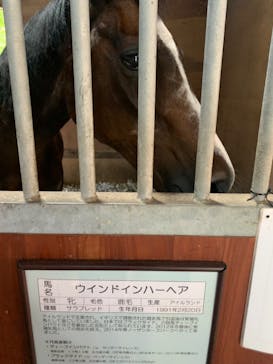 ノーザンホースパークに投稿された画像（2021/8/29）