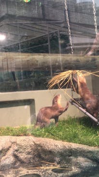 サンシャイン水族館に投稿された画像（2021/8/29）