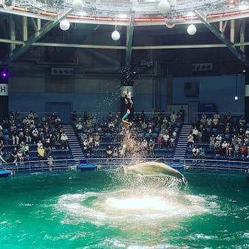 マクセル アクアパーク品川に投稿された画像（2021/8/30）