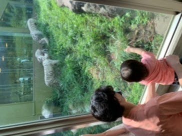 伊豆アニマルキングダムに投稿された画像（2021/8/29）