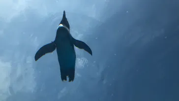 横浜・八景島シーパラダイスに投稿された画像（2021/8/30）