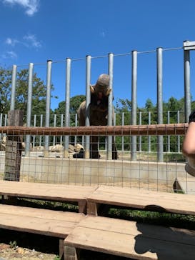 しろとり動物園に投稿された画像（2021/8/30）