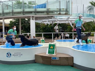 サンシャイン水族館に投稿された画像（2021/8/30）