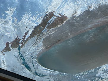 サンシャイン水族館に投稿された画像（2021/8/30）