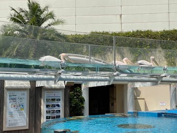 サンシャイン水族館に投稿された画像（2021/8/30）