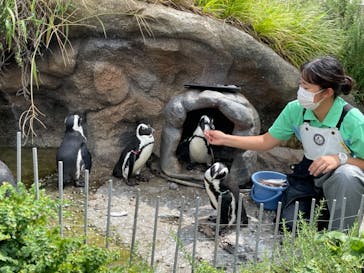 サンシャイン水族館に投稿された画像（2021/8/30）