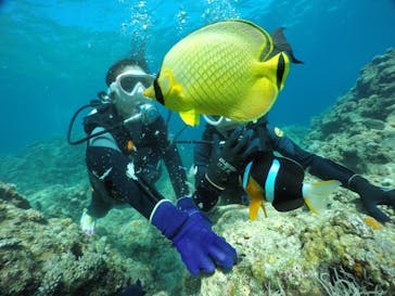 DIVING-SHOP SUNSに投稿された画像（2021/8/30）