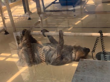 大分マリーンパレス水族館 「うみたまご」に投稿された画像（2021/8/30）