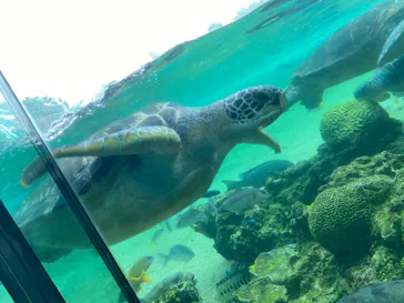 横浜・八景島シーパラダイスに投稿された画像（2021/8/30）