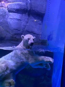 横浜・八景島シーパラダイスに投稿された画像（2021/8/30）