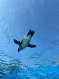 サンシャイン水族館に投稿された画像（2021/8/30）