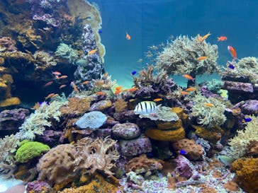 サンシャイン水族館に投稿された画像（2021/8/30）