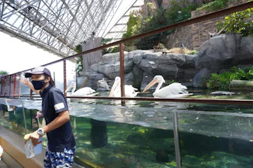 横浜・八景島シーパラダイスに投稿された画像（2021/8/30）