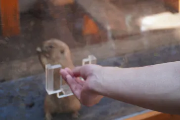 横浜・八景島シーパラダイスに投稿された画像（2021/8/30）