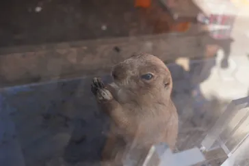 横浜・八景島シーパラダイスに投稿された画像（2021/8/30）