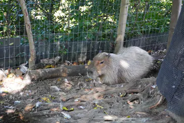 横浜・八景島シーパラダイスに投稿された画像（2021/8/30）