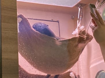 マクセル アクアパーク品川に投稿された画像（2021/8/30）