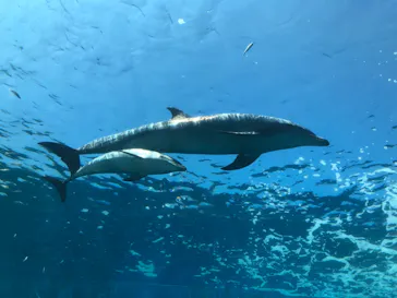 横浜・八景島シーパラダイスに投稿された画像（2021/8/30）