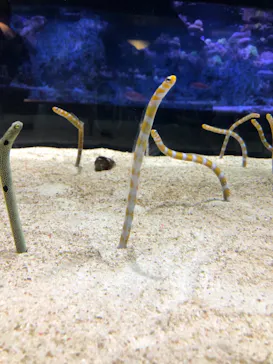 すみだ水族館に投稿された画像（2021/8/30）