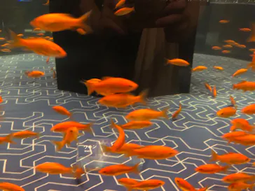 すみだ水族館に投稿された画像（2021/8/30）