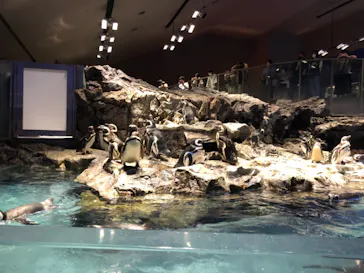 すみだ水族館に投稿された画像（2021/8/30）