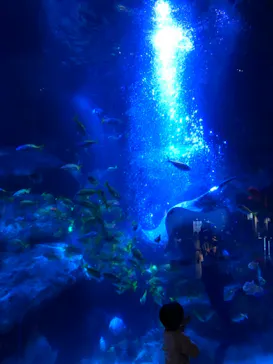 すみだ水族館に投稿された画像（2021/8/30）