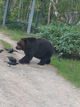 サホロリゾート　ベア･マウンテンに投稿された画像（2021/8/30）