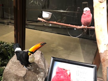 Moff animal world MARK IS みなとみらい店に投稿された画像（2021/8/30）