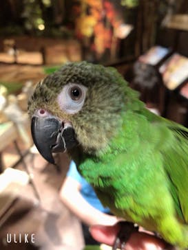 Moff animal world MARK IS みなとみらい店に投稿された画像（2021/8/30）