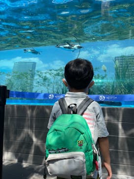 サンシャイン水族館に投稿された画像（2021/8/30）