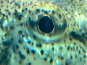 サンシャイン水族館に投稿された画像（2021/8/30）