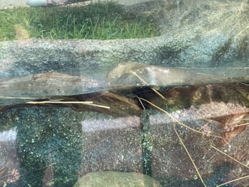 サンシャイン水族館に投稿された画像（2021/8/30）